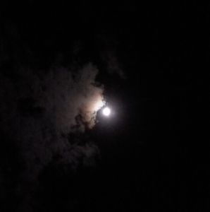 Meet your Posher, Carla